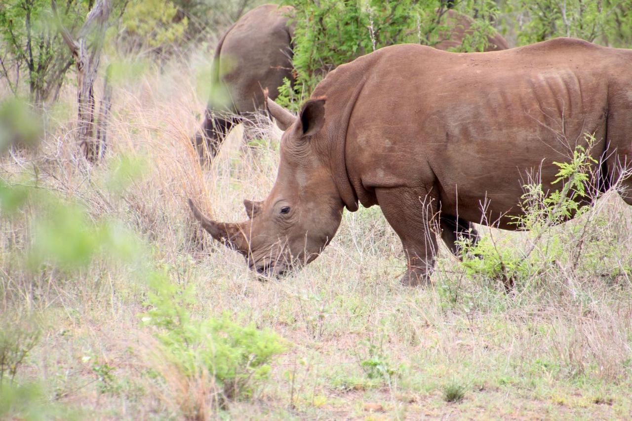 Jackals Dream - Self Catering Villa Bordering Kruger National Park Marloth Park Exteriér fotografie