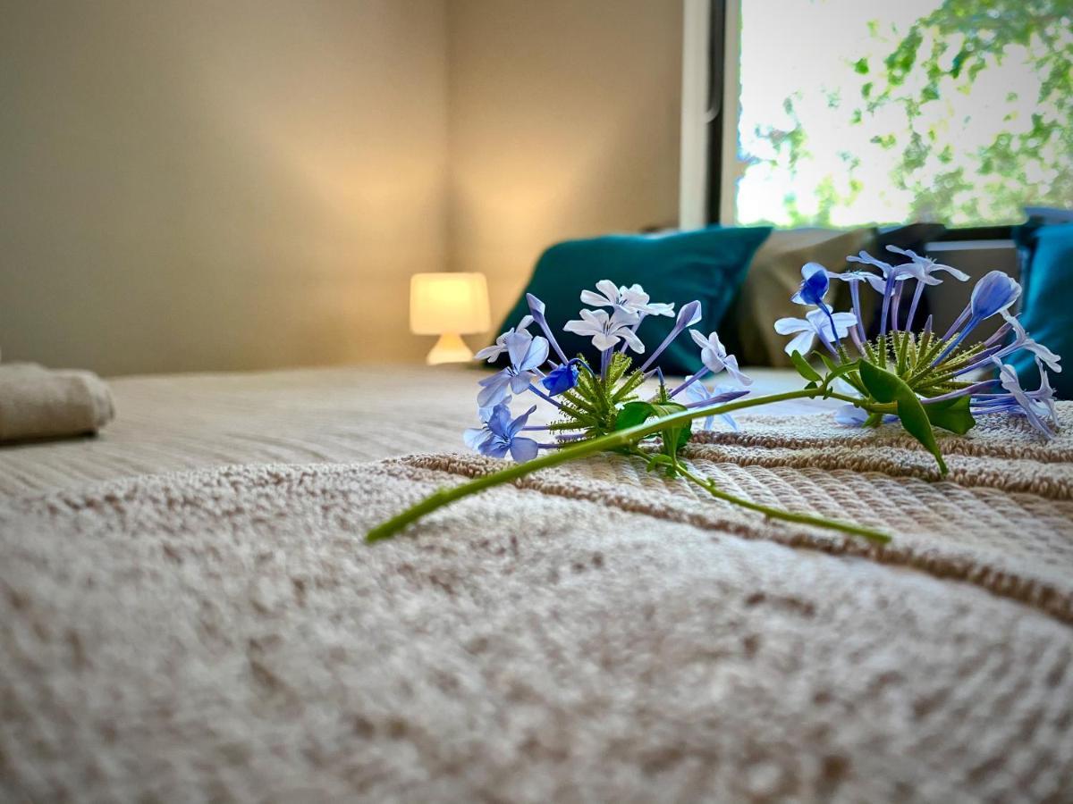 Jackals Dream - Self Catering Villa Bordering Kruger National Park Marloth Park Exteriér fotografie